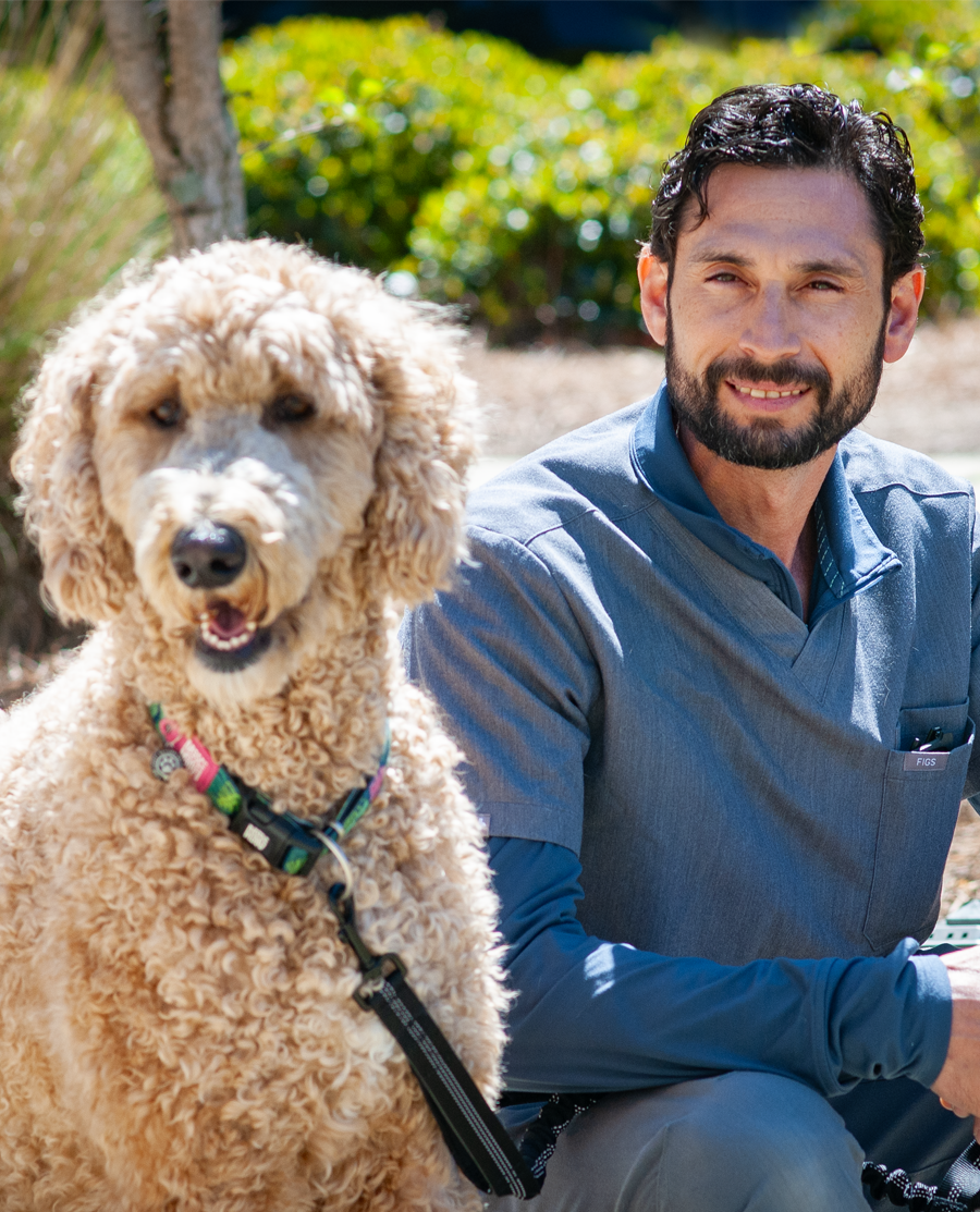 Christian Carattini, DVM