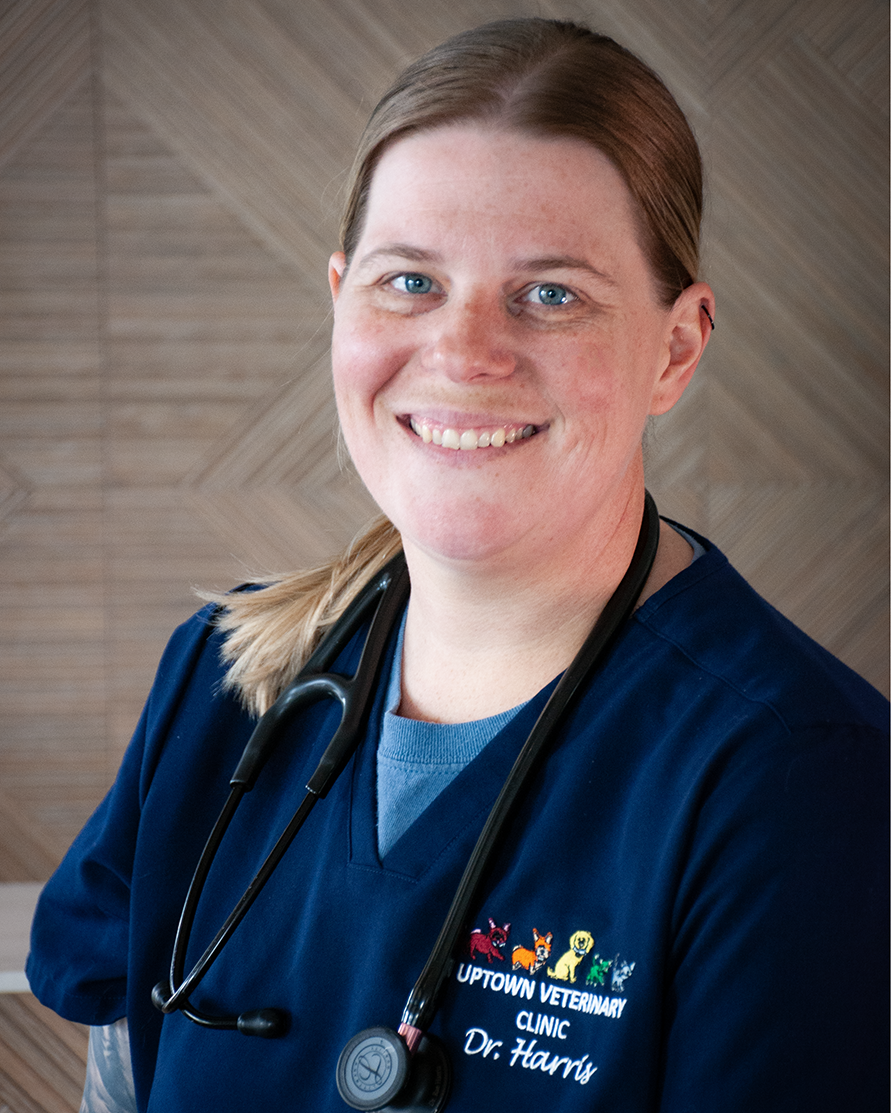 Dr. Rae Harris