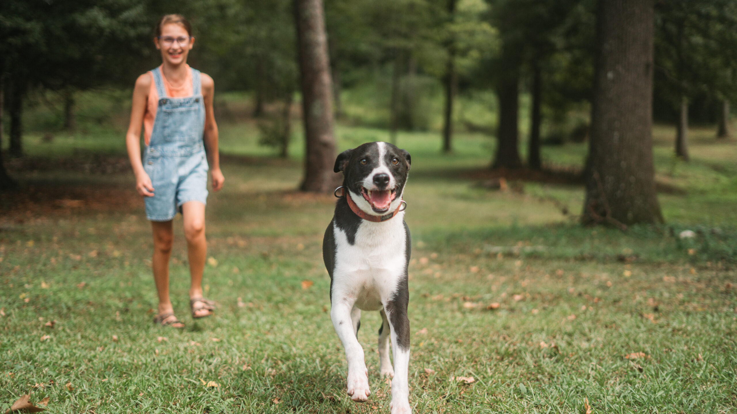 Pet resource learning center