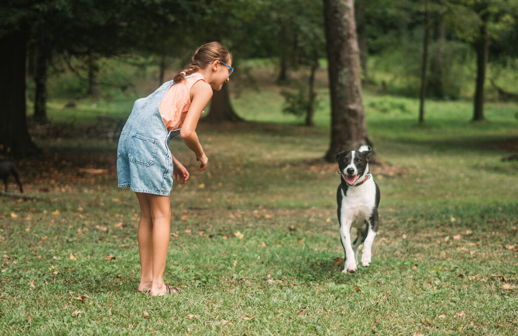 resolutions for healthy pets