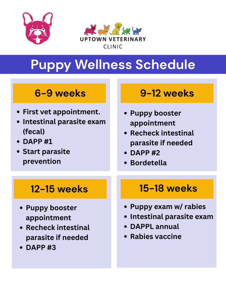 Puppy Vaccination Schedule