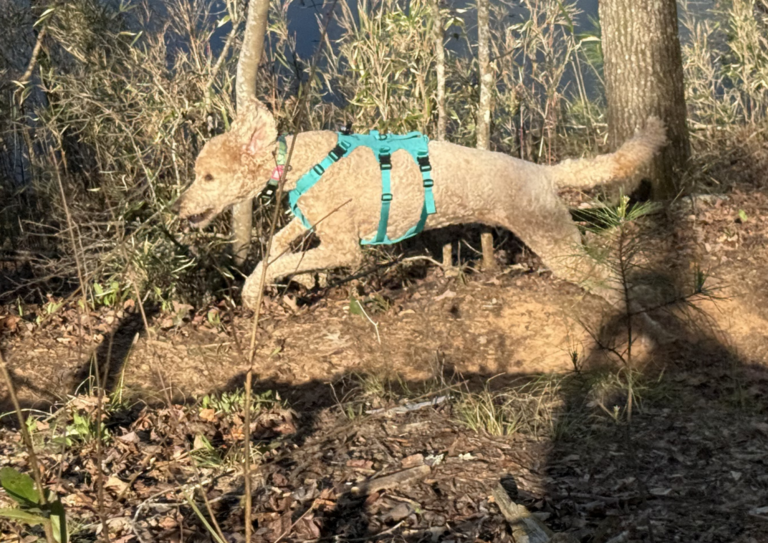 Prepare for Emergency