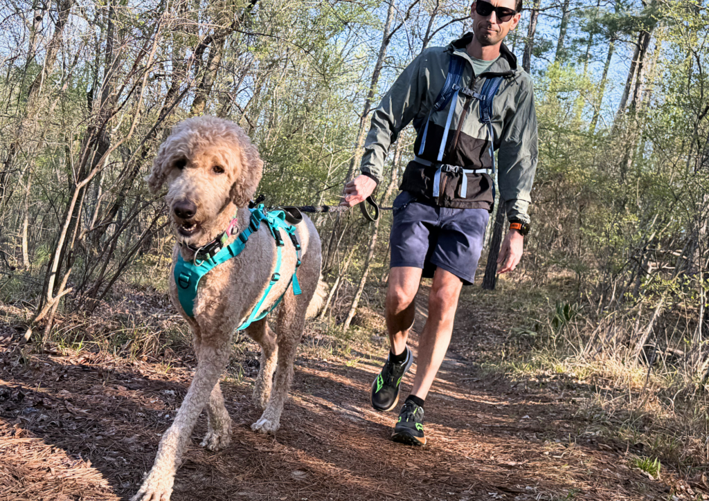 Hiking with Your Dog