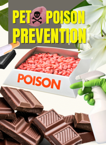 Pet Poison Prevention