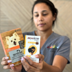 Prevention Matters: The Best Way to Handle Fleas and Ticks