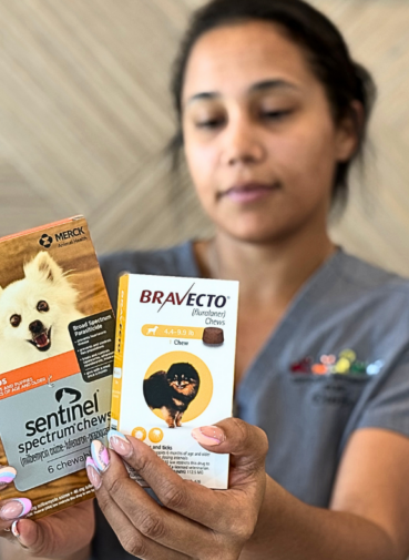 Flea and Tick Prevention