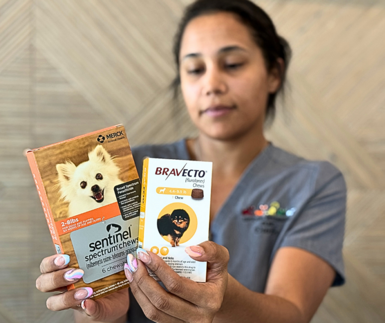 Flea and Tick Prevention