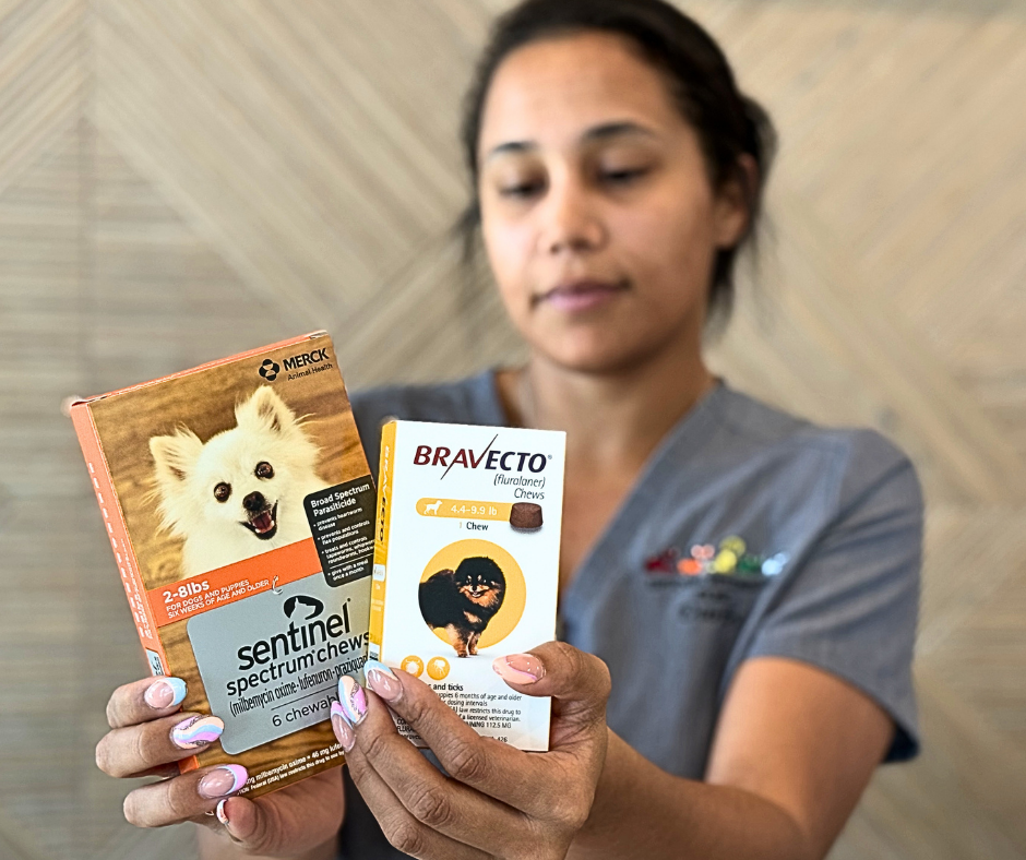 Flea and Tick Prevention