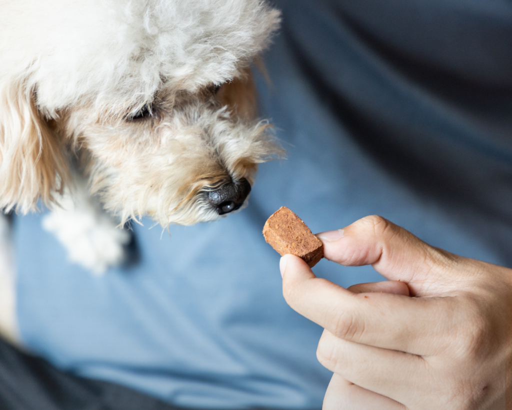 Heartworm Prevention