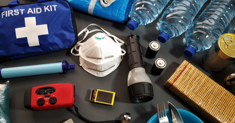 Pet Emergency Kit