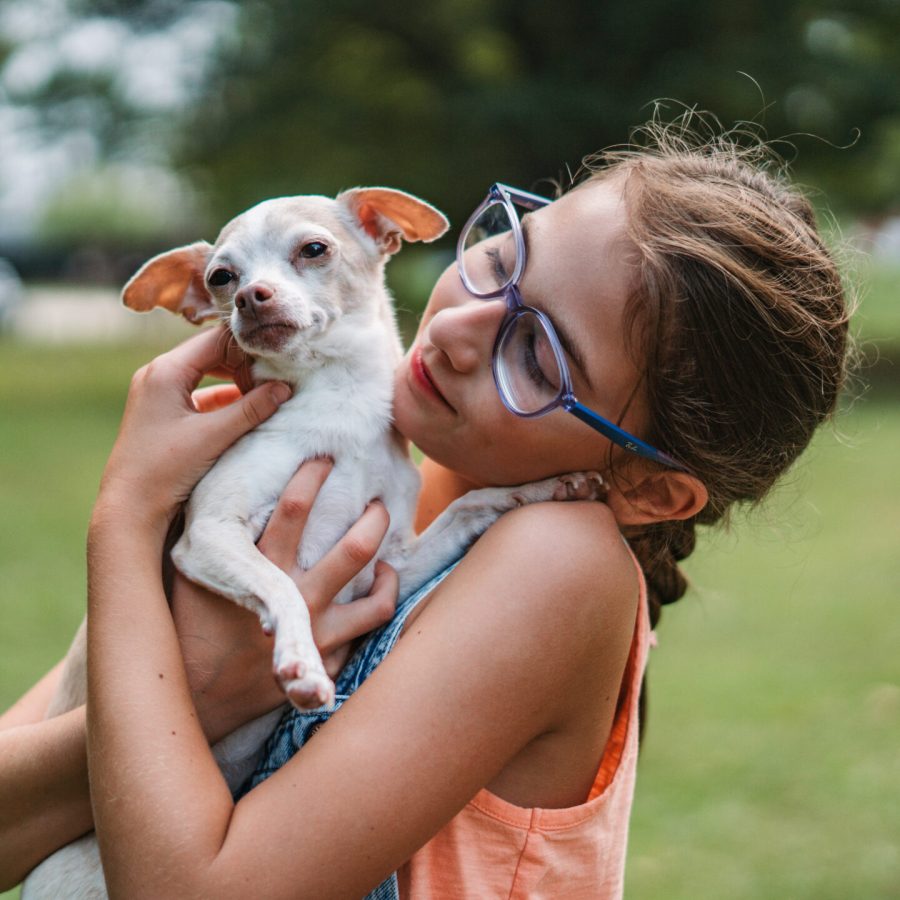 Resolutions for a Healthy pet