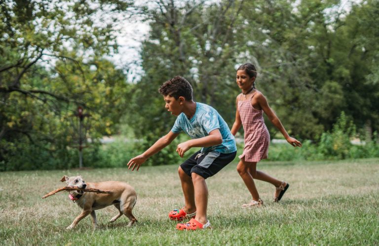 Pet Nutrition - Uptown Veterinary Clinic