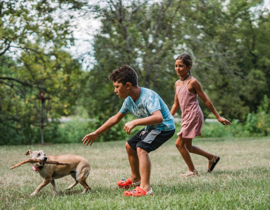 Pet Nutrition - Uptown Veterinary Clinic